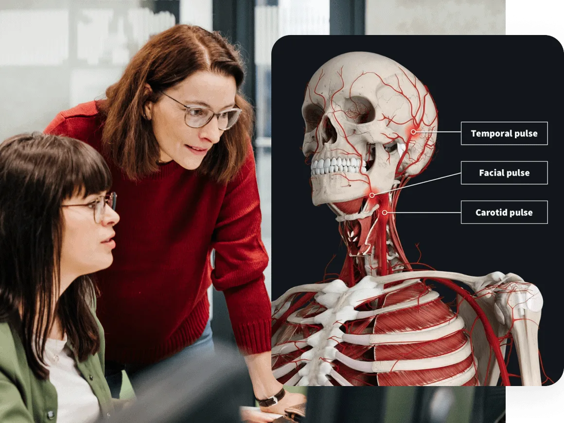 Medical Faculty Student looking at screen skeleton